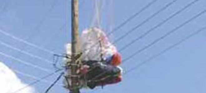 Αλεξιπτωτιστής «προσγειώθηκε» σε κολώνα της ΔΕΗ! - Media