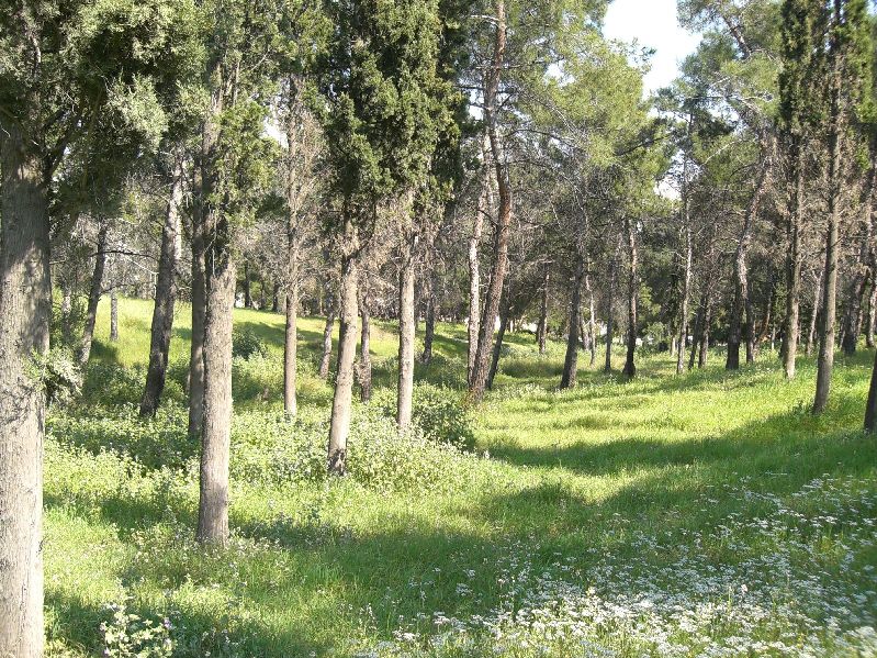 Επεισόδια στη Ν. Φιλαδέλφεια για το γήπεδο της ΑΕΚ - Media
