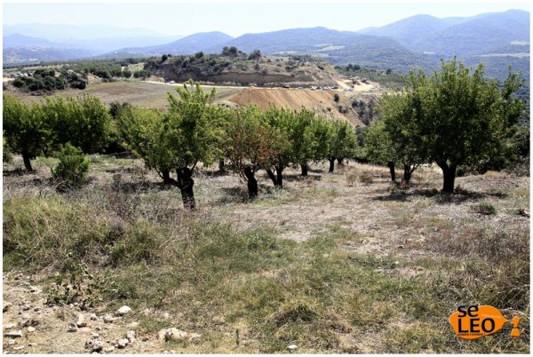 Αμφίπολη: Εκτοξεύτηκαν οι τιμές των χωραφιών με θέα τον Τύμβο Καστά! - Media