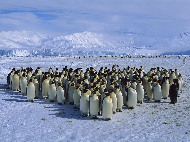 Τα συμφέροντα σκοτώνουν την Ανταρκτική - Media