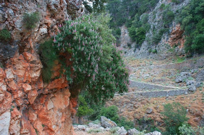 Νεκρός και ο Γάλλος τουρίστας που αγνοείτο στα Σφακιά - Media