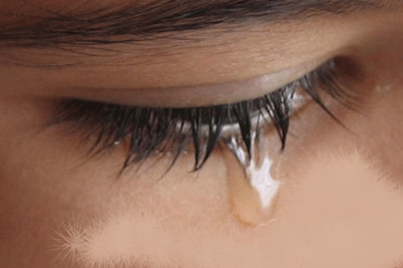 Στην Πάτρα κινδυνεύουν να πεθάνουν από ασιτία… - Media