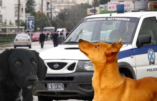 Συνελήφθη αστυνομικός για θανάτωση δυο σκύλων με φόλα - Media