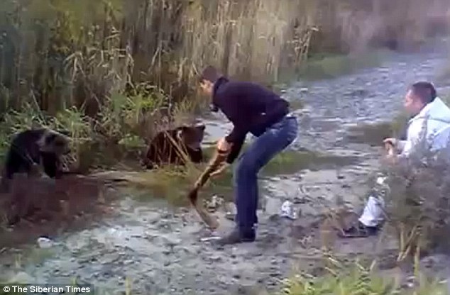 Κακοποίηση ζώων: Δείτε ένα μεθυσμένο Ρώσο να χτυπάει αρκουδάκι (Video) - Media