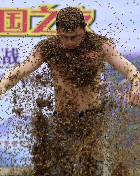 «Έσπασε» το ρεκόρ έχοντας πάνω του 60 κιλά μέλισσες για 53 λεπτά! - Media