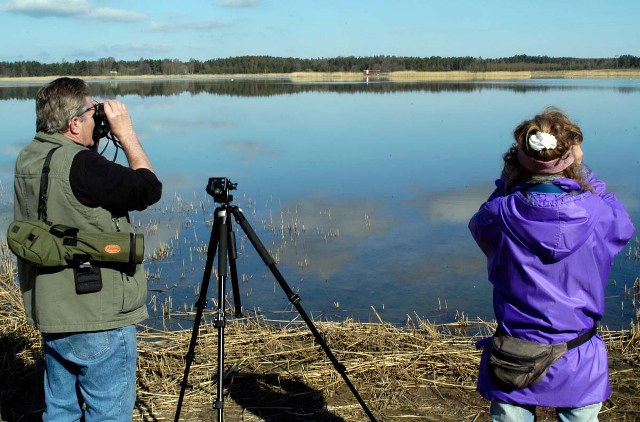 Η παρατήρηση πουλιών κάνει καλό στην οικονομία - Media