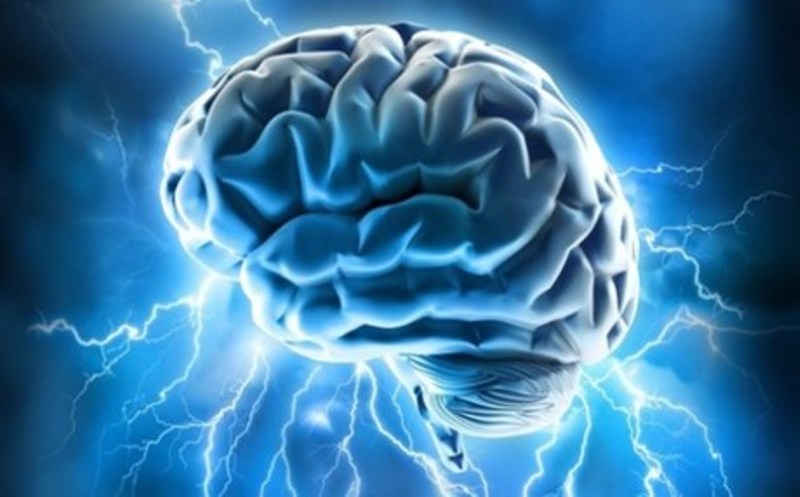 Οι επιστήμονες κατάφεραν την άμεση επικοινωνία μεταξύ ανθρωπίνων εγκεφάλων μέσω διαδικτύου - Media