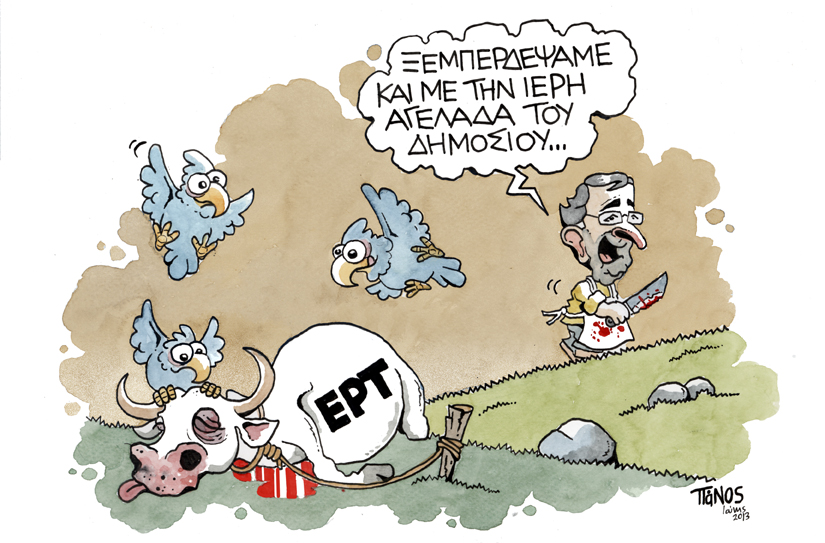 Πάνος αγελάδα - Media