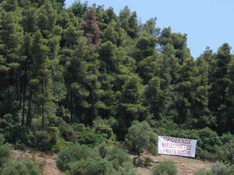 Αντιδράσεις και από βουλευτές της ΝΔ για το δασικό νομοσχέδιο  - Media