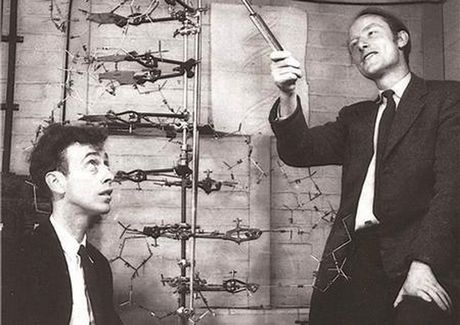 Δημοπρατείται στον Christie’s η επιστολή ανακάλυψης του DNA - Media