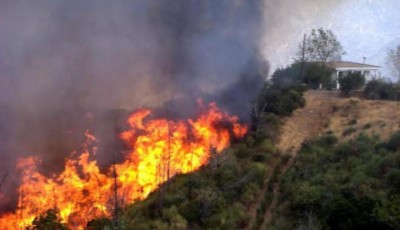 Πυρκαγιά στην Κυνουρία - Media
