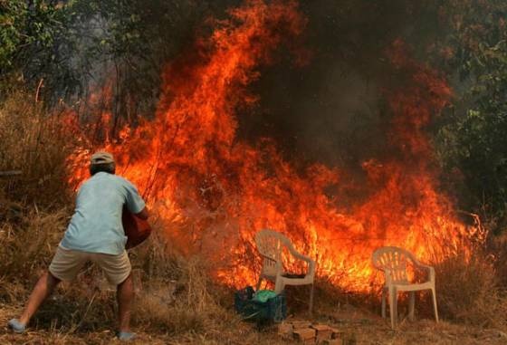 Ποιος βάζει φωτιά στα δάση; - Media