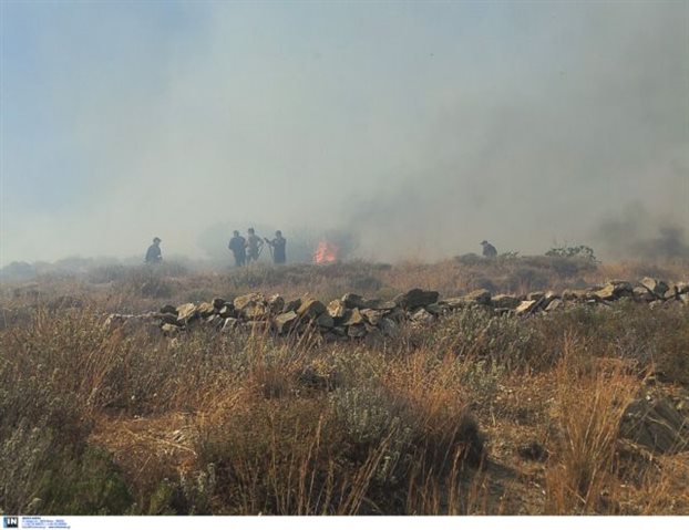 Σε εξέλιξη πυρκαγιές σε Ζάκυνθο και Σητεία - Media