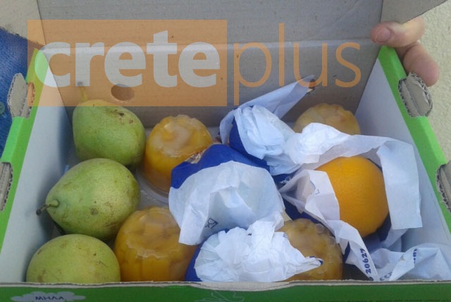 Μοίρασαν σε παιδιά δημοτικού σάπια φρούτα - Media