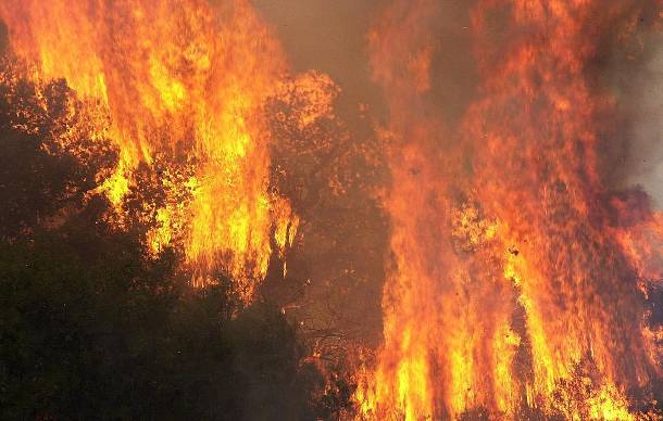 ‘Ένοχοι για τις φωτιές στην Ηλεία, αλλά ελεύθεροι προς 1.200 ευρώ το μήνα… - Media
