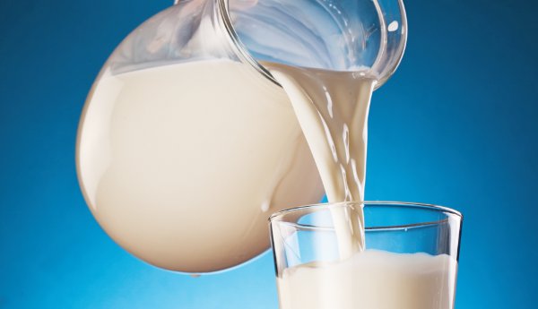 Τέλος στο «φρέσκο» γάλα – Οι νέες ρυθμίσεις - Media