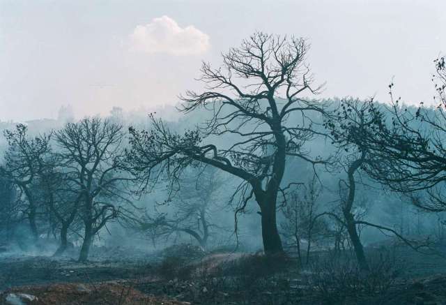 Ποιος φταίει; - Media