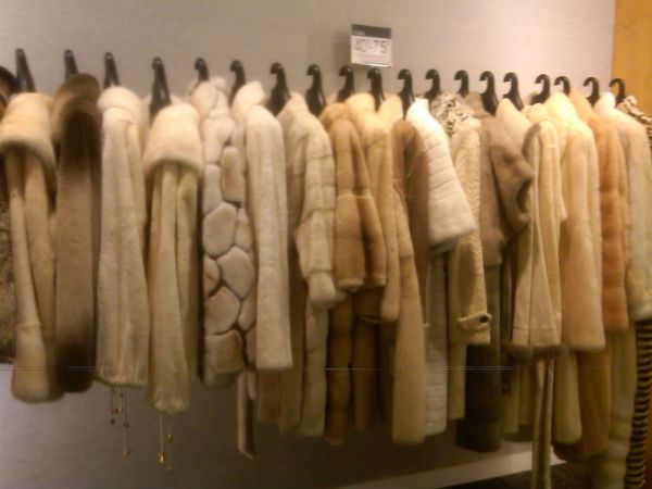 Moscow Times: Οι «πληγές» στην ελληνική βιομηχανία γούνας από τις κυρώσεις της ΕΕ - Media