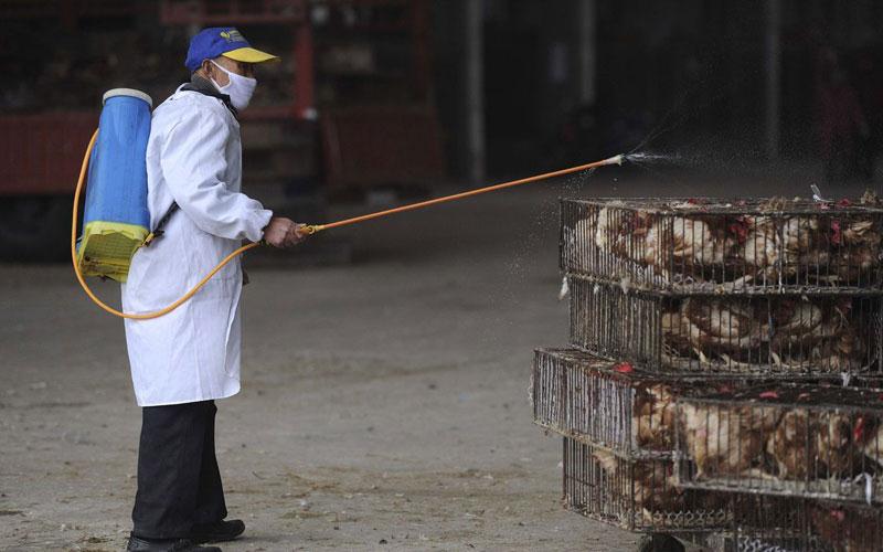 Στα 16 έχουν φτάσει τα θύματα από τη γρίπη Η7Ν9 στην Κίνα - Media