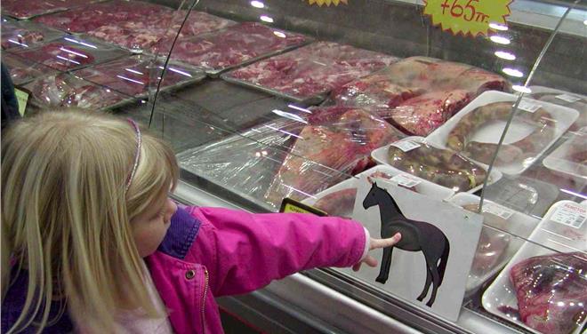 Ποιες εταιρείες πουλούσαν κρέας αλόγου - Media