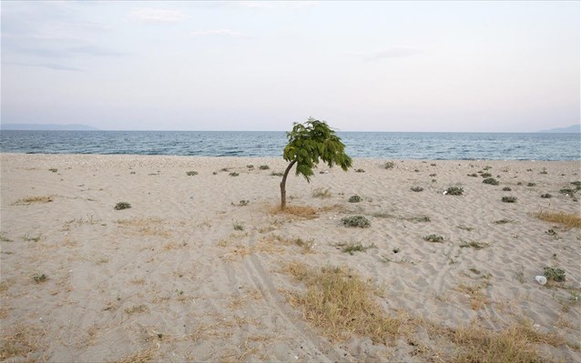 Θα… μας πάρει και θα μας σηκώσει – Έκτακτο δελτίο θυελλωδών ανέμων - Media
