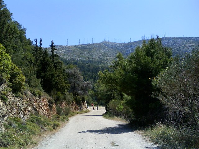 Την κατεδάφιση αυθαίρετης κατοικίας στο δάσος της Καισαριανής αποφάσισε το ΣτΕ - Media