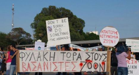 Από φόλες πάμε καλά… - Media