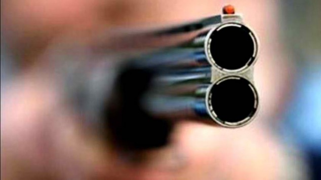 Αίγιο: 74χρονος πυροβόλησε παιδιά που έπαιζαν! - Media