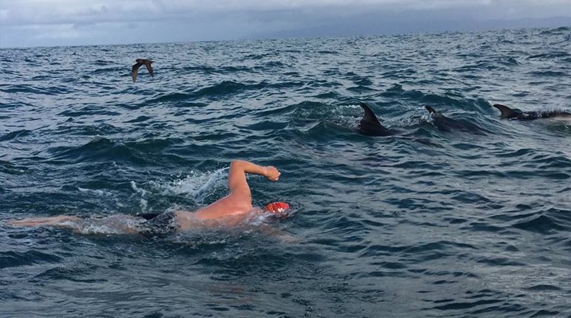 Δελφίνια έσωσαν κολυμβητή από καρχαρία (Video) - Media