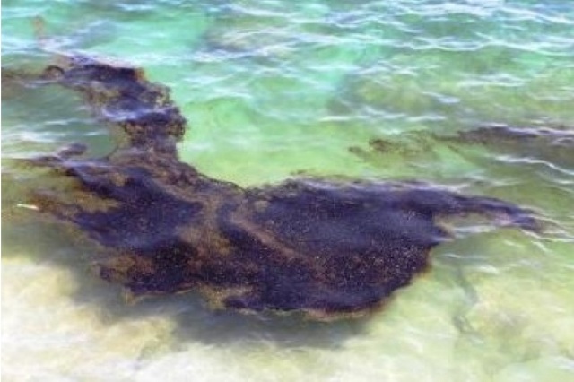 Πετρελαιοκηλίδα σε δυτική παραλία της Κρήτης - Media