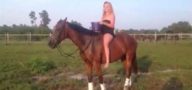 Ice bucket challenge: Το κορίτσι και το... άλογο  (Video) - Media