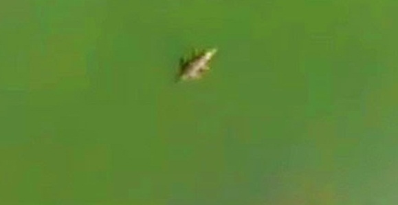 Αλλαγή στο μενού του «Σήφη»! - Media