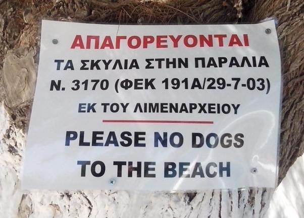 Παράνομη η πινακίδα που απαγορεύει το μπάνιο σε σκύλους σε παραλία της Κύθνου - Media