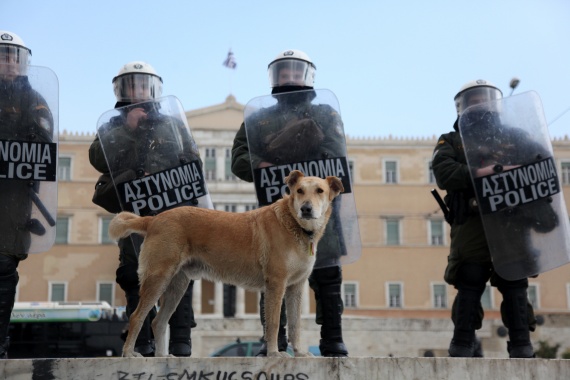 Φωτογραφίες από τη δράση του Λουκάνικου - Media