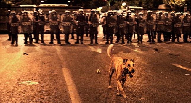 Φόρος τιμής στον Λουκάνικο από τους οπαδούς της ιταλικής Λιβόρνο (Photos) - Media