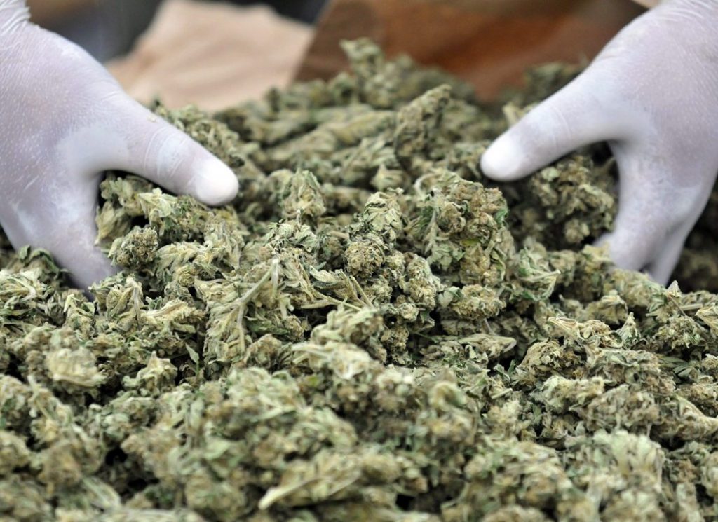 Μετέφερε έναν τόνο μαριχουάνας με... αστυνομική προστασία! - Media