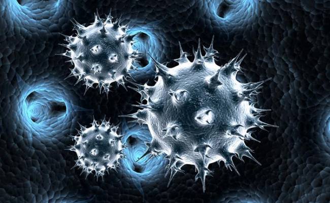 Στους 115 οι νεκροί από τον κοροναϊό MERS στην Σαουδική Αραβία - Media