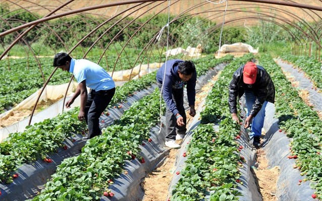 Στα μέτρα των εργοδοτών ο νέος Μεταναστευτικός Κώδικας
 - Media