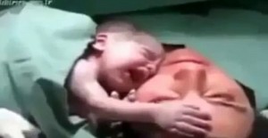 Νεογέννητο αρνείται να αποχωριστεί τη μαμά του (Video) - Media