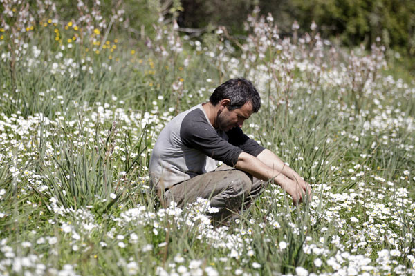 «Να γίνουμε αγρότες»… λένε οι περισσότεροι! - Media
