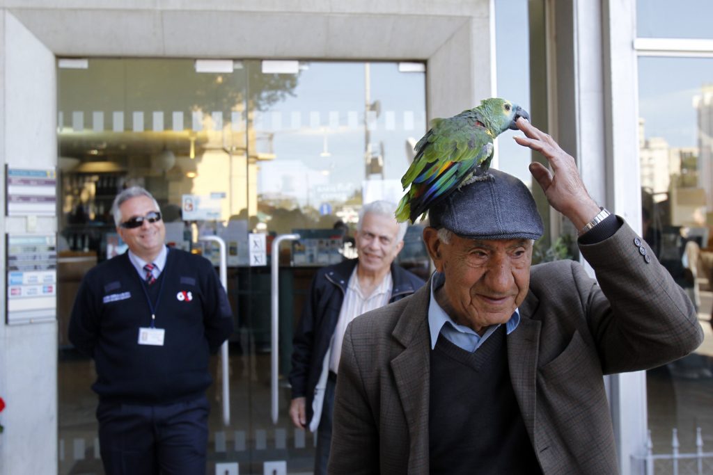 Πήγε στην τράπεζα με τον παπαγάλο στο κεφάλι! - Media