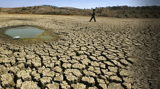 Μπαν Κι Μουν, Λεονάρντο Ντι Κάπριο και Έμα Τόμσον στις πορείες για τη σωτηρία του πλανήτη  - Media