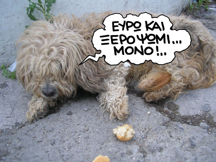 ΣΑΤΙΡΙΚΟΣ - σκύλος - Media
