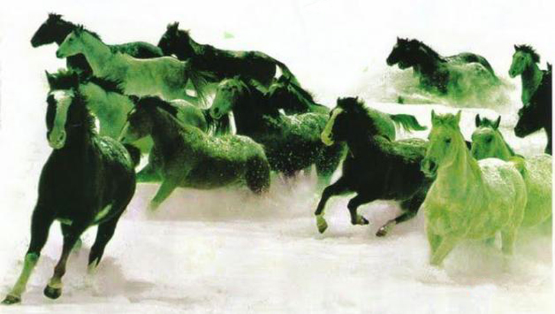 Ανάκαμψη και πράσινα άλογα… - Media