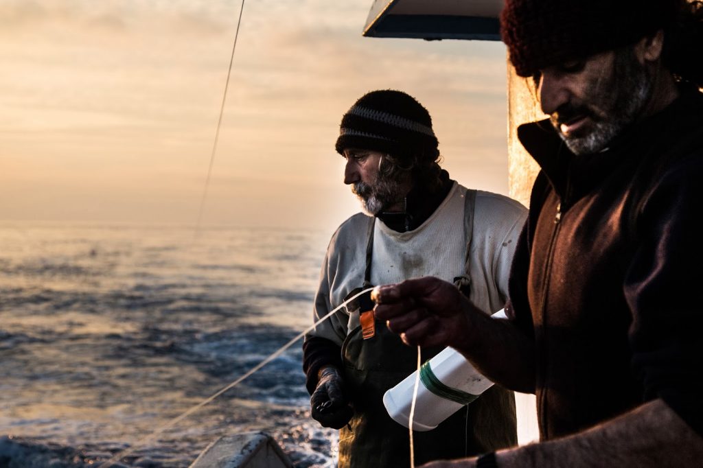 Τροπικό λαγόψαρο απειλεί τα νερά του Αιγαίου - Media