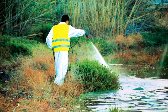 Ποιες είναι οι 9 περιοχές της Ελλάδας που απειλούνται περισσότερο από τα κουνούπια φέτος το καλοκαίρι; - Media