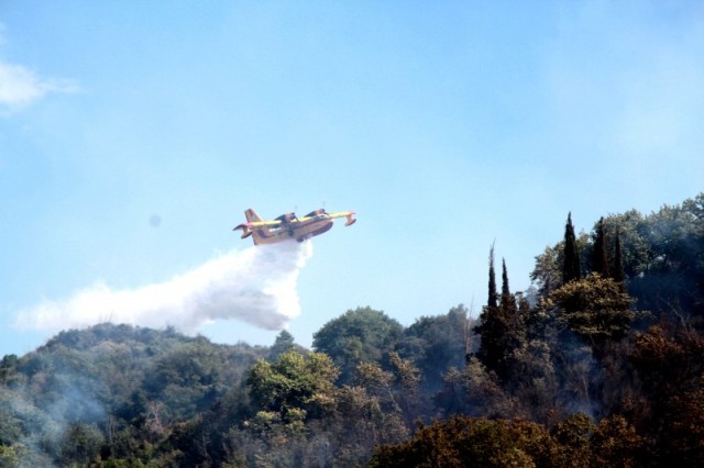 Αυτοψία στον αρχαιολογικό χώρο της αρχαίας Μεσσήνης μετά την πυρκαγιά - Media