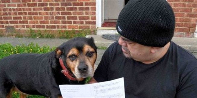 Σκύλος έβγαλε εκλογικό βιβλιάριο για τις ευρωεκλογές - Media