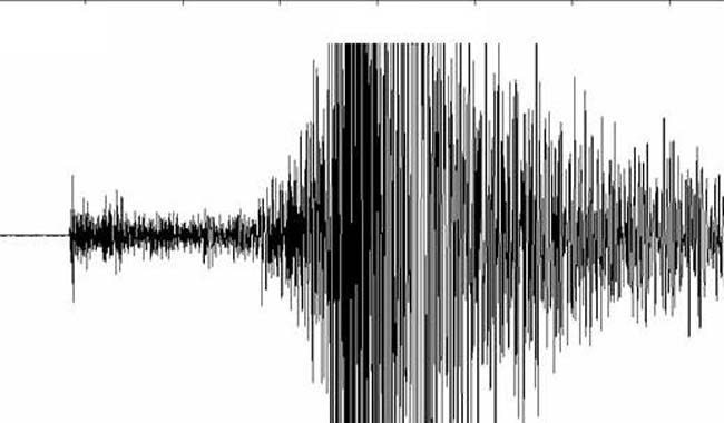 Σεισμός 5,9 Ρίχτερ στο Μεξικό - Media