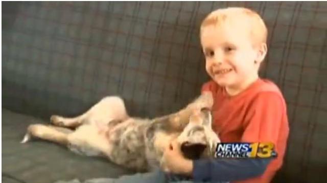 «Σεξομανής» ετών 6 - Media